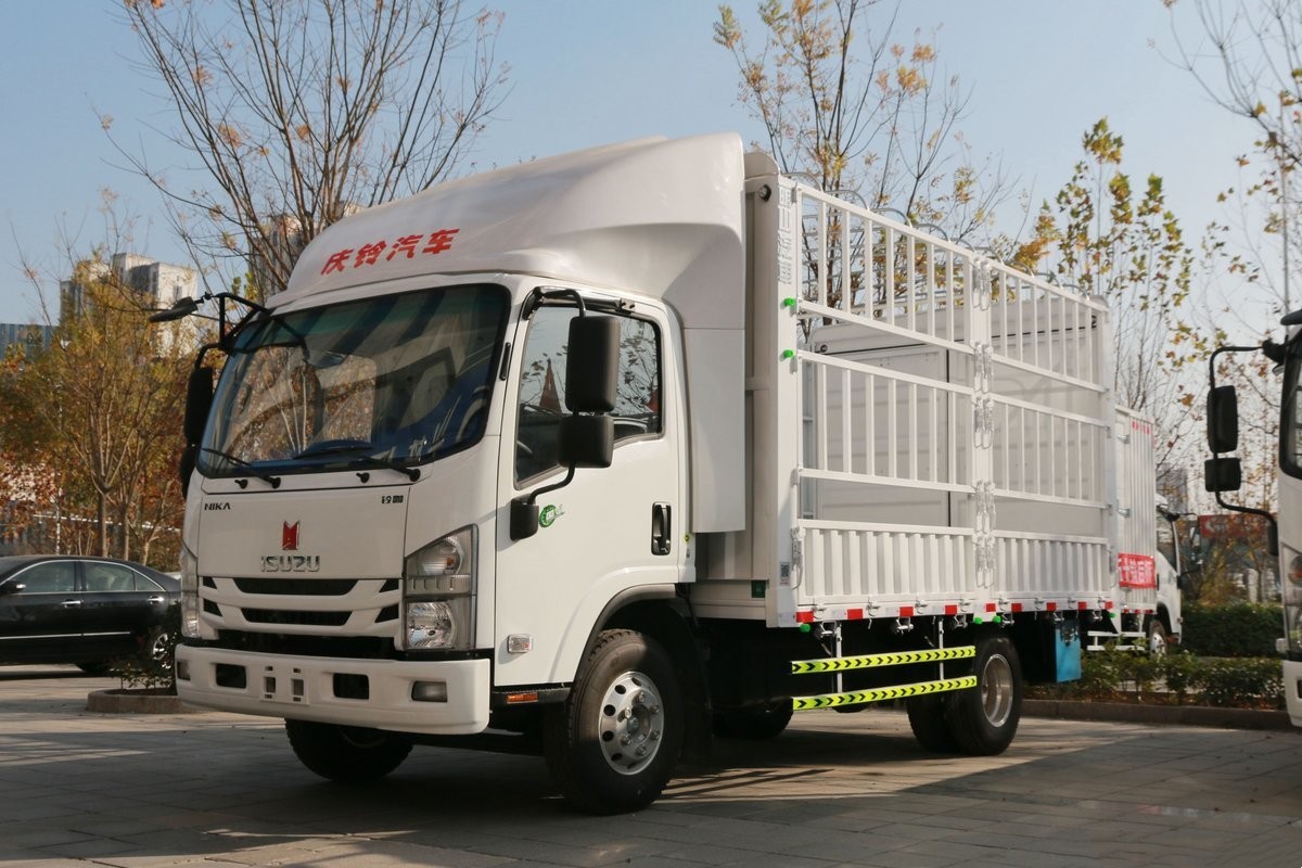 1303892.jpg_1200x800