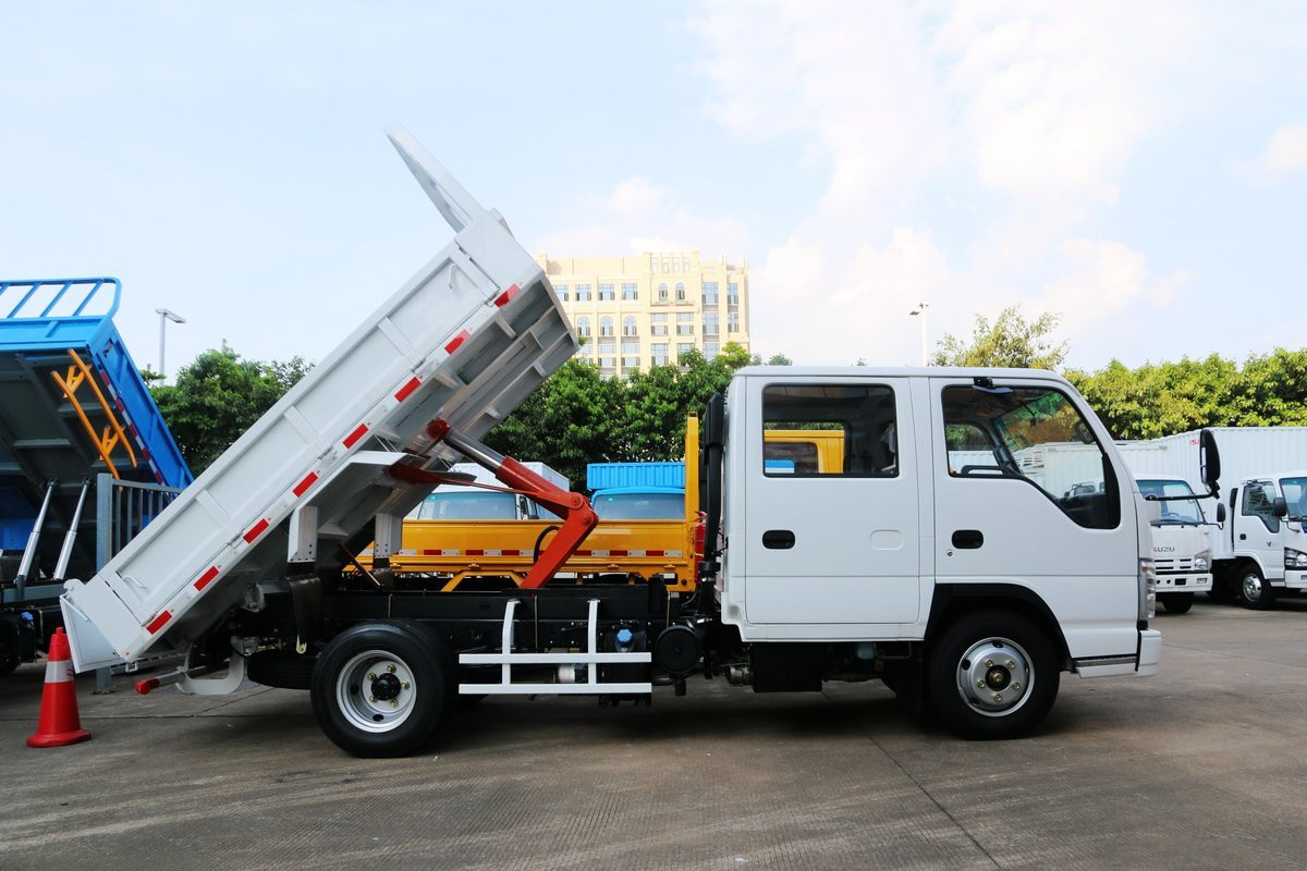  Qingling ISUZU Dump Truck 100P 4x2 QL3041MVFW