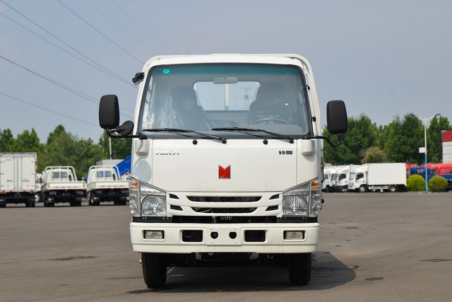 Qingling NIKA Light Truck 4x2 QL1040MFHA