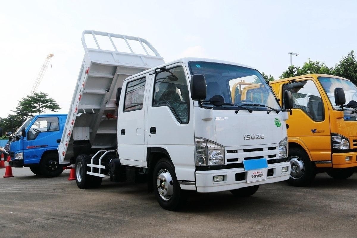  Qingling ISUZU Dump Truck 100P 4x2 QL3040ZALHWJ