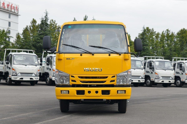  Qingling ISUZU Light Truck 100P 4x2 QL1043BUHW