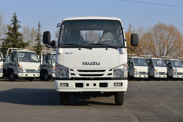  Qingling ISUZU Light Truck 100P 4x2 QL1070BUKW