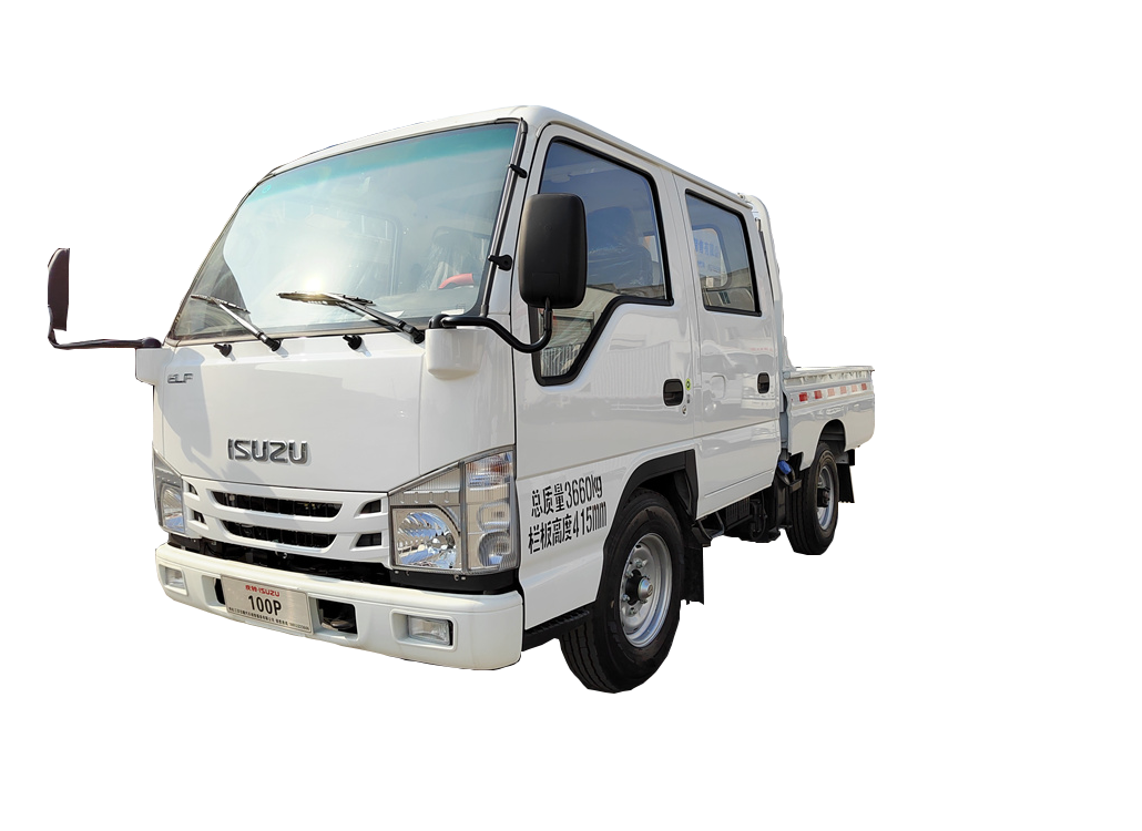 100P double cab light truck (2)