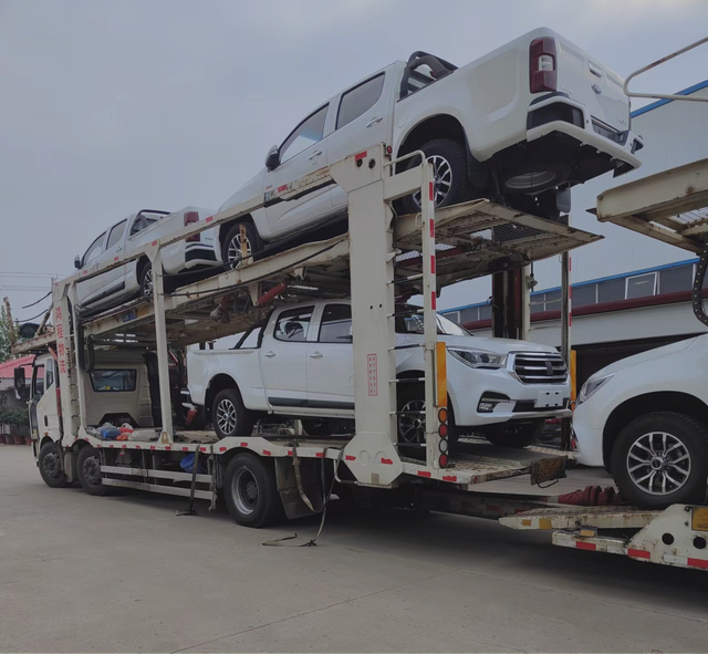 Qingling EV Truck Pickup Truck with Japan Engine