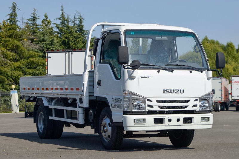  Qingling ISUZU Light Truck 100P 4x2 QL1040MVHA
