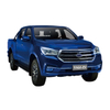 Qingling EV Truck Pickup Truck with Japan Engine